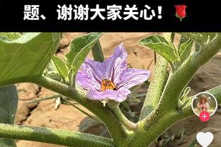 里夫斯谈对阵步行者：他们的比赛节奏很快 要高度重视退防